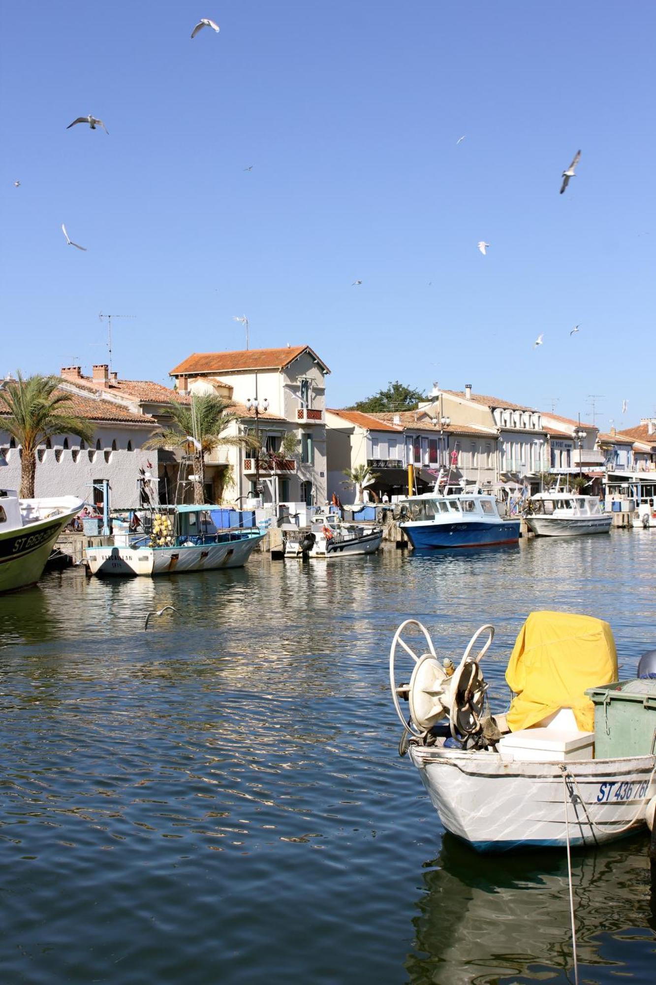 Hotel Restaurant Splendid Camargue Le Grau-du-Roi Eksteriør billede
